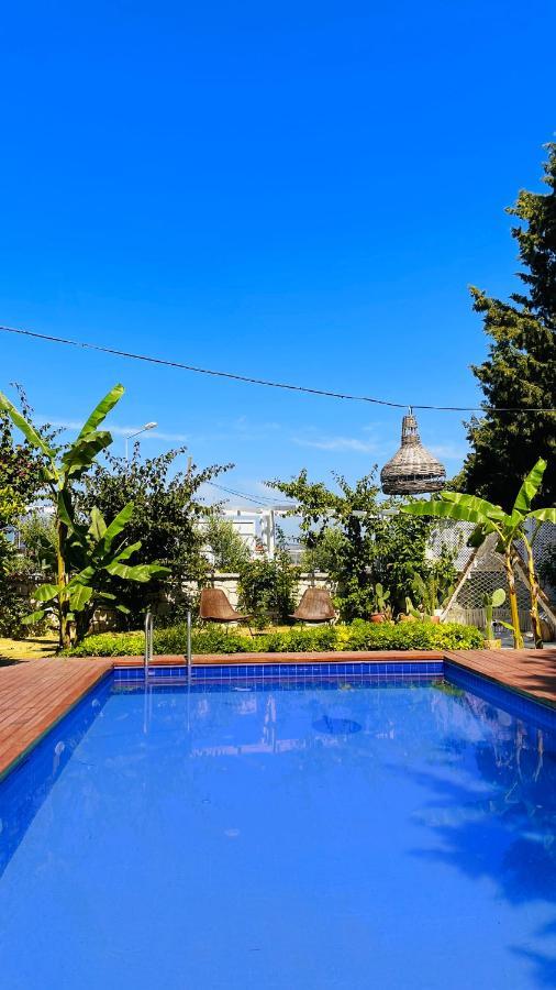 Ella Alacati Otel Ildiri 外观 照片